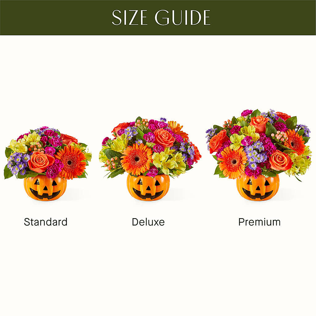 Tricks & Treats Pumpkin – Palette Flower, Austin TX