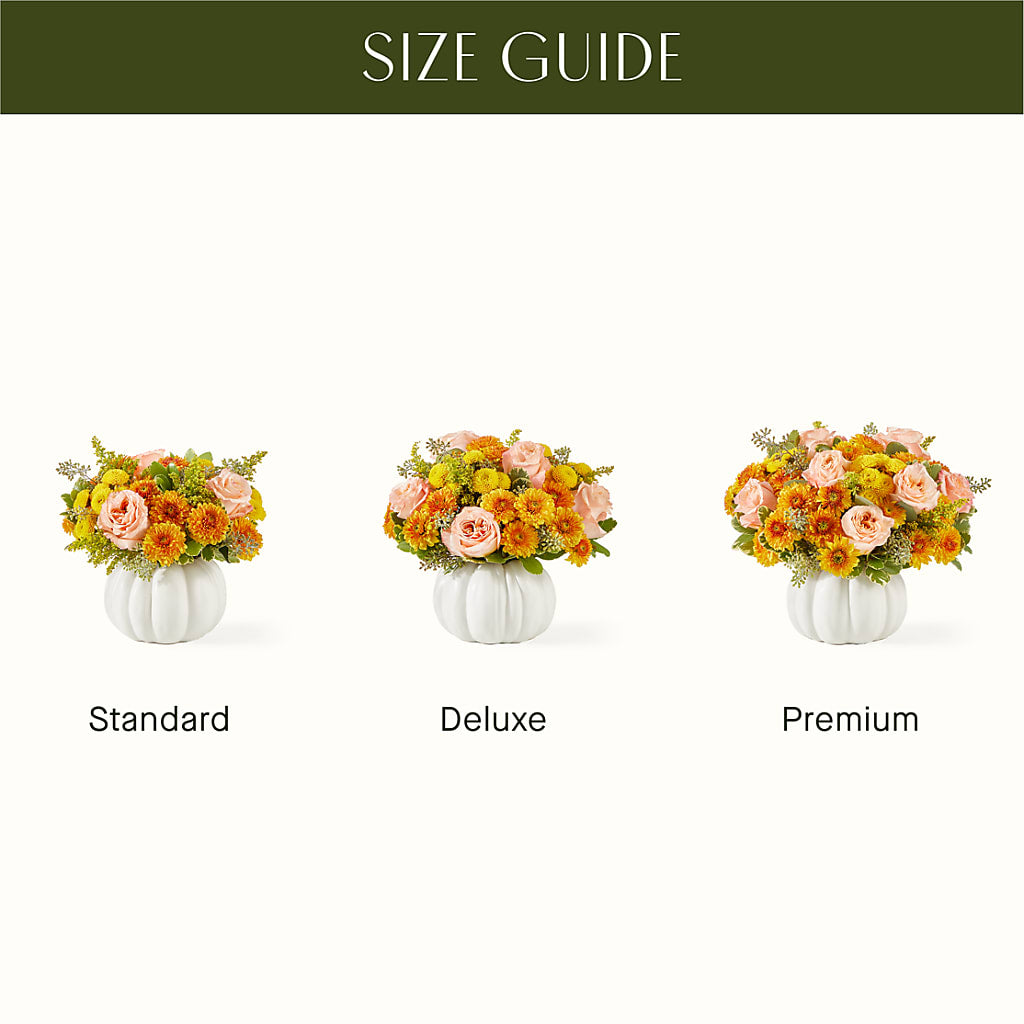 Peachy Pumpkin – Palette Flower, Austin TX