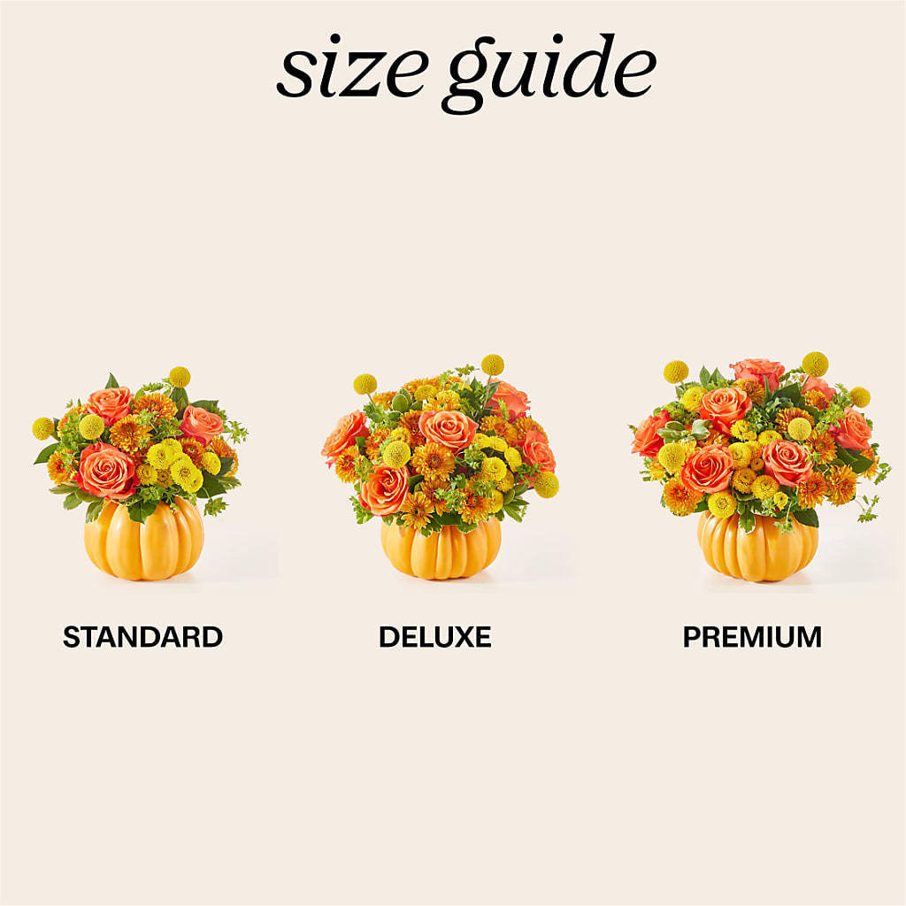 Gourdgeous Pumpkin – Palette Flower, Austin TX