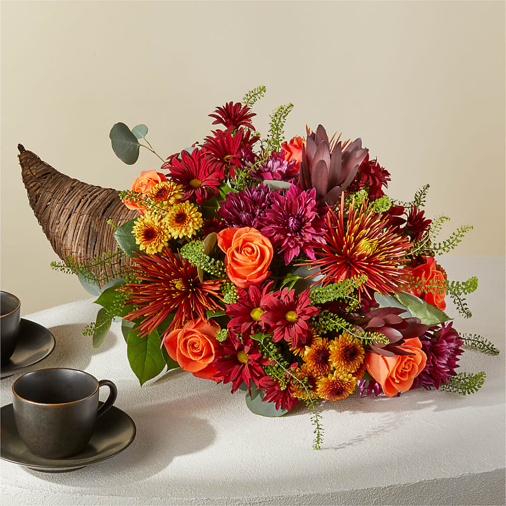 Autumn Herald Cornucopia – Palette Flower, Austin TX