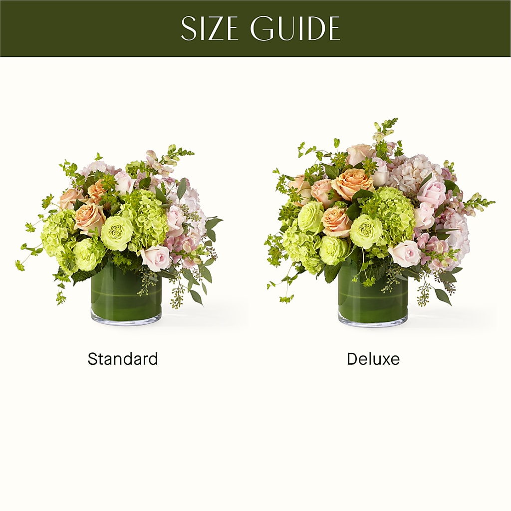 The Art Deco – Palette Flower, Austin TX