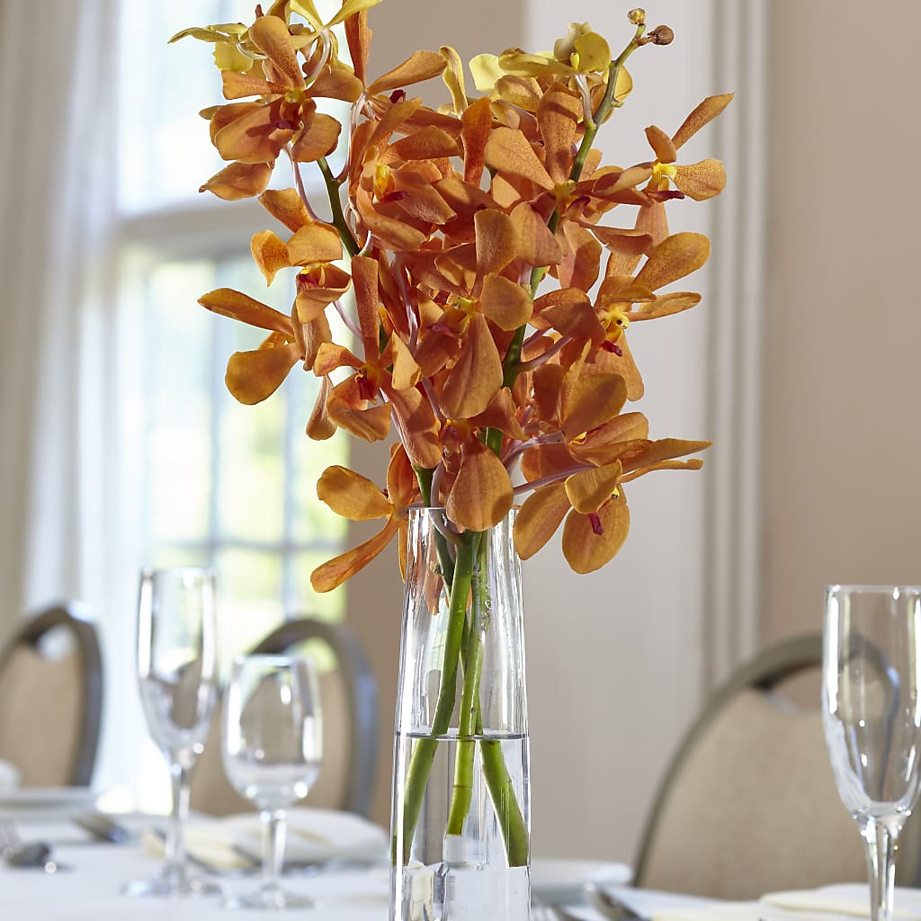 Orange Mokara Bud Vase – Palette Flower, Austin TX