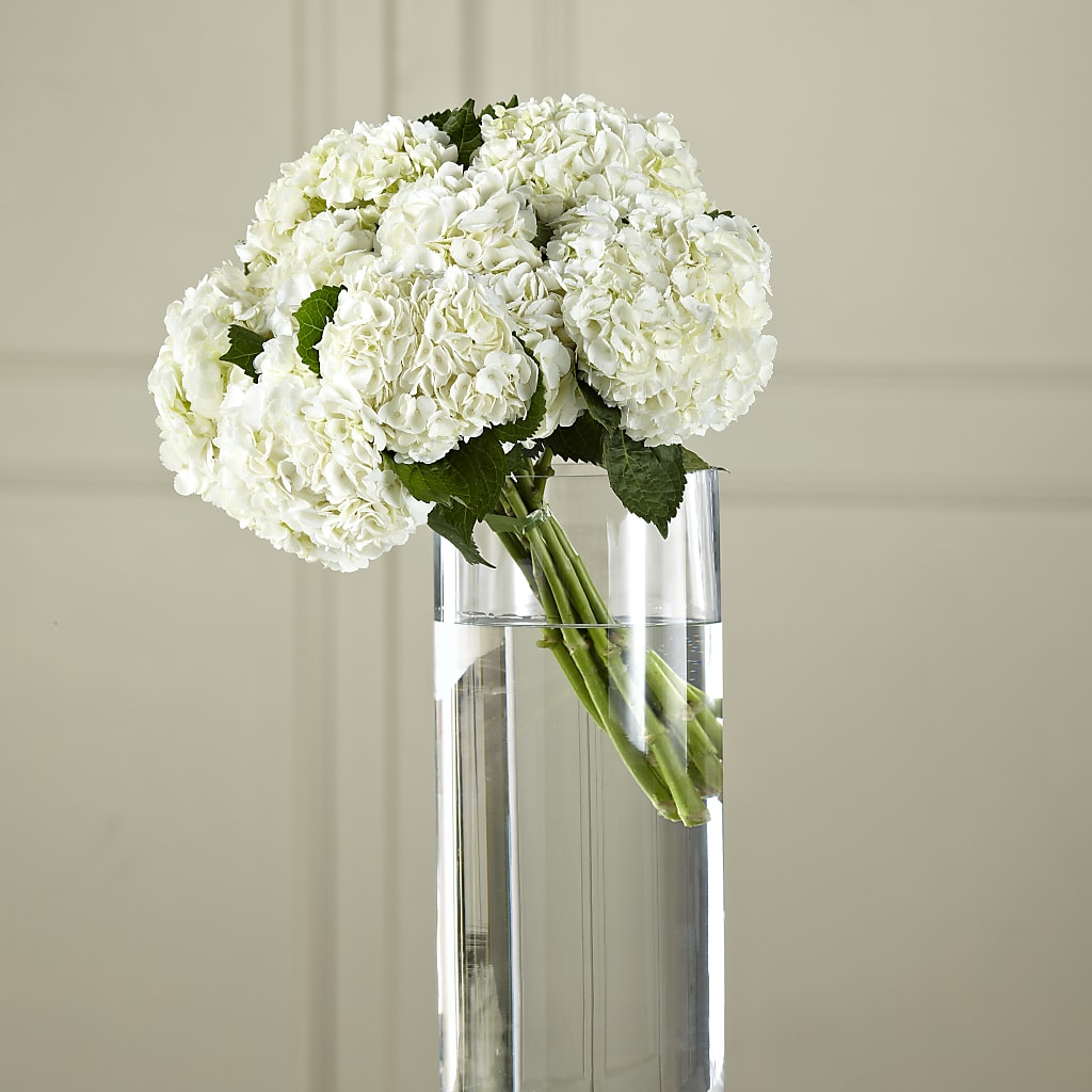 White Hydrangea Hand-Tied Bouquet – Palette Flower, Austin TX
