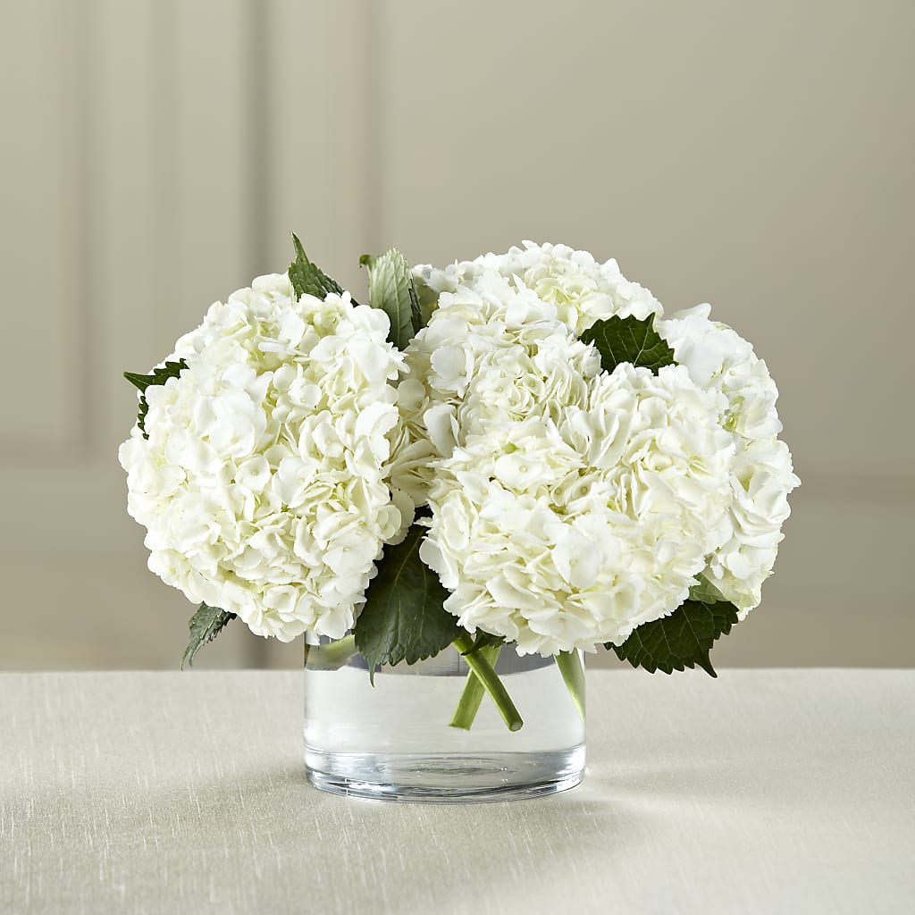 White Hydrangea Bouquet – Palette Flower, Austin TX