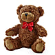 Adorable Plush Bear –  Palette Flower, Austin TX
