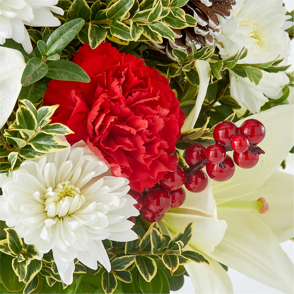 Festive Moments Tree –  Palette Flower, Austin TX