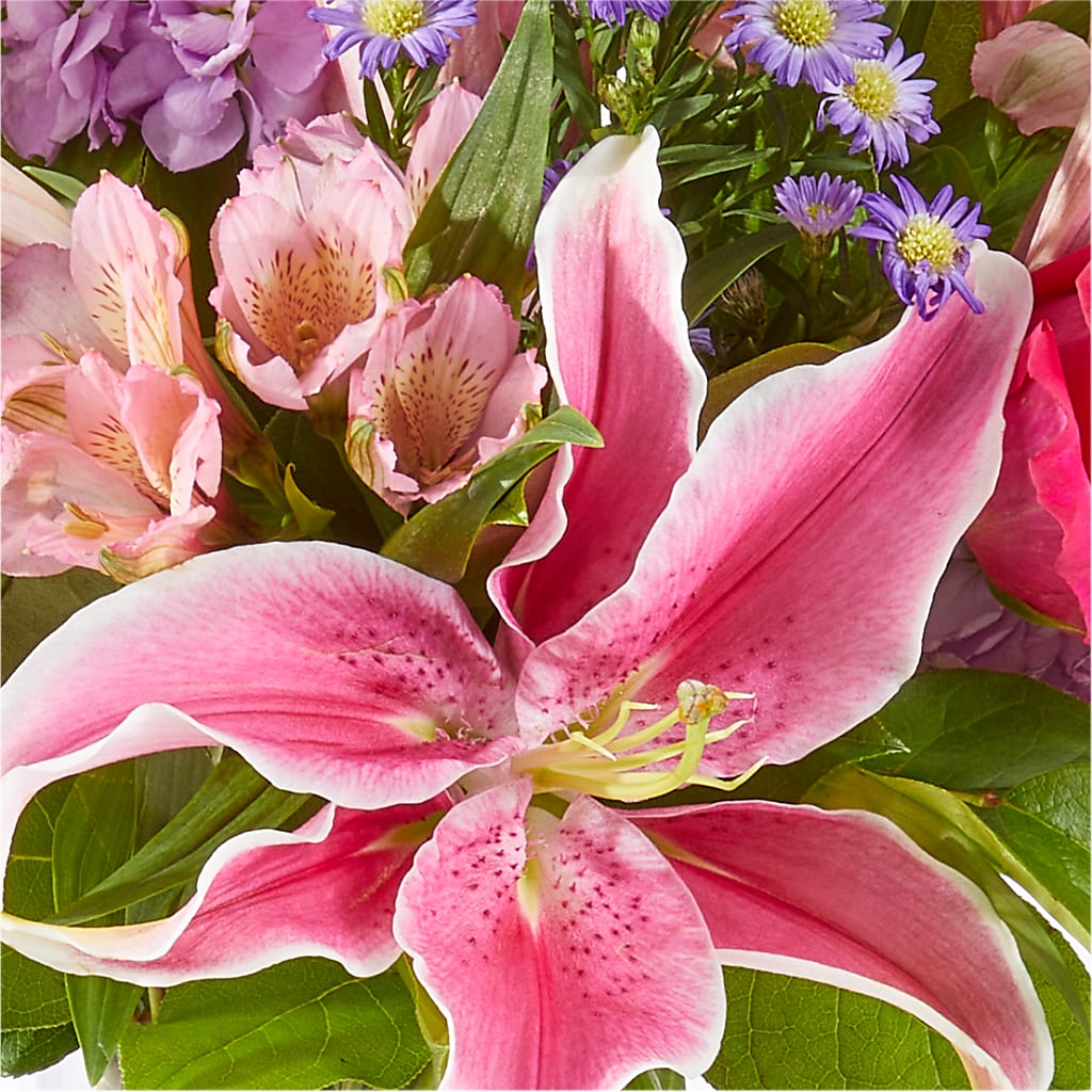 Written in the Stars Bouquet –  Palette Flower, Austin TX