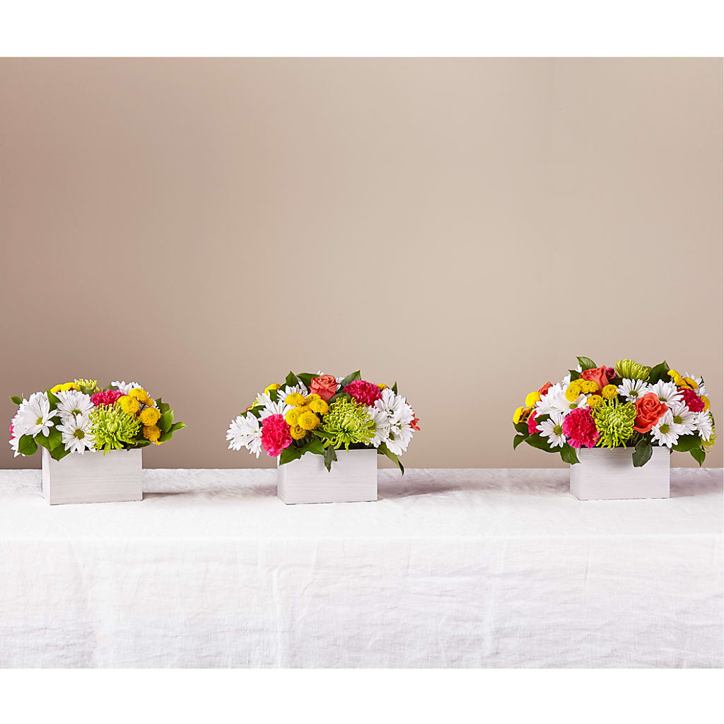 Sorbet Bouquet –  Palette Flower, Austin TX