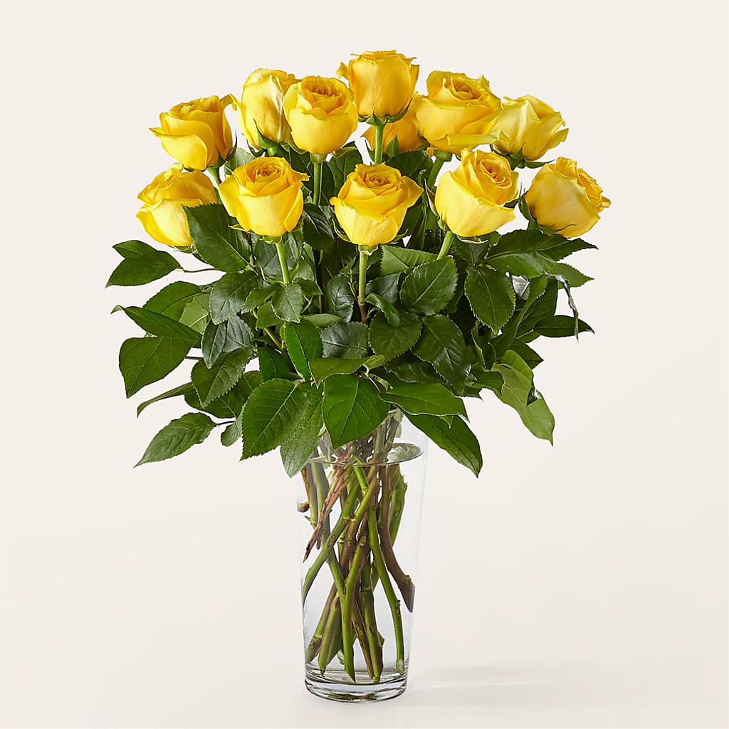 Long Stem Yellow Rose Bouquet –  Palette Flower, Austin TX