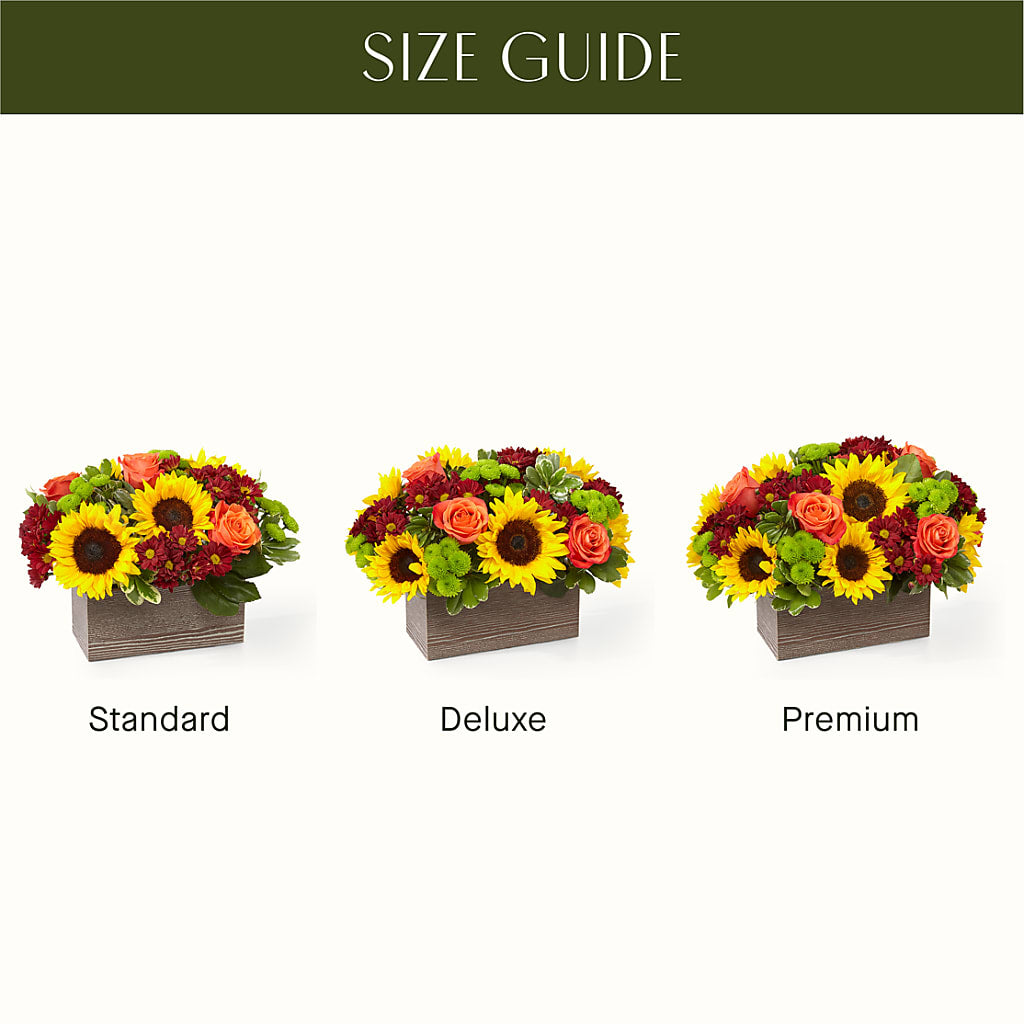 Happy Harvest Garden –  Palette Flower, Austin TX