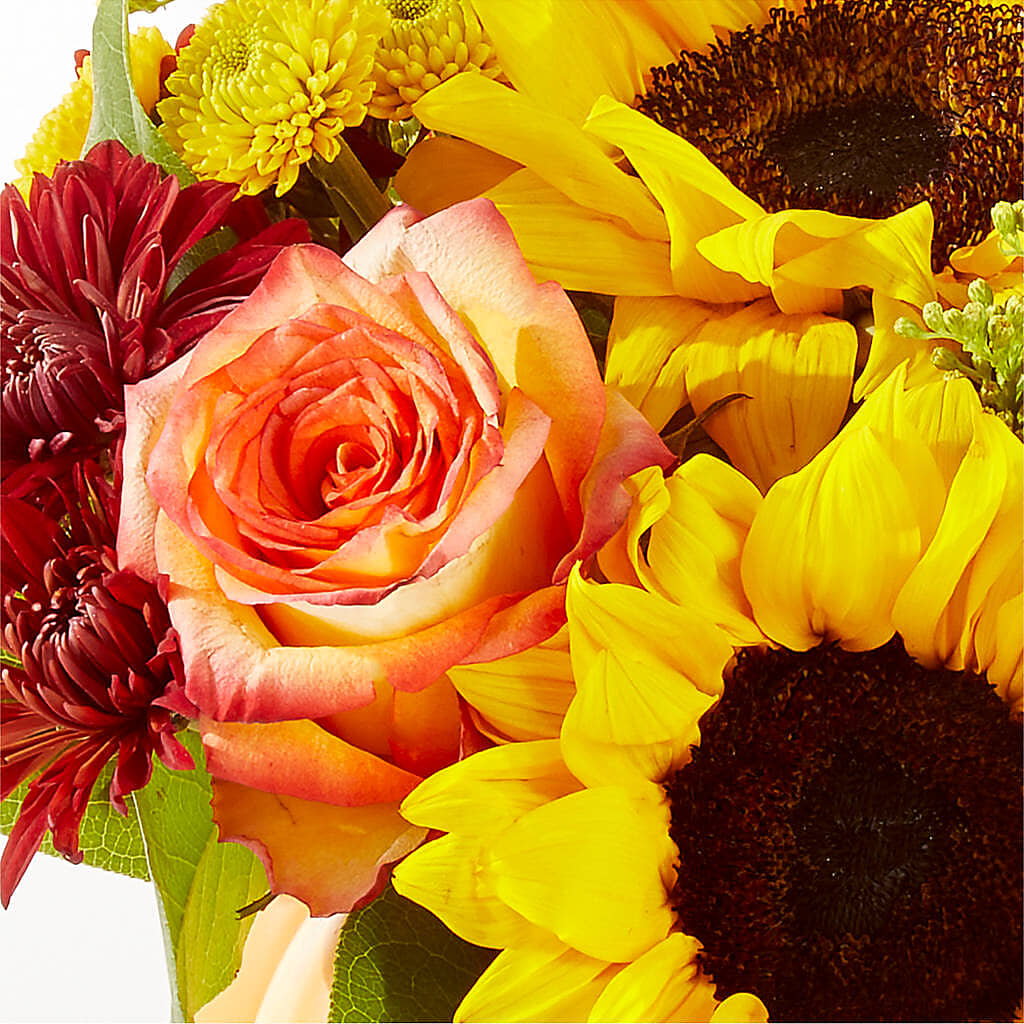 Golden Gourd Pumpkin Bouquet –  Palette Flower, Austin TX