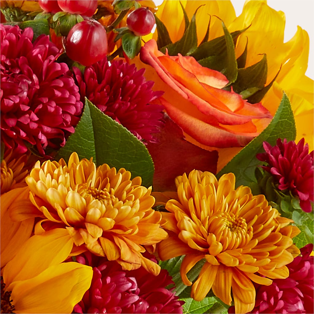 Sweater Season - A Florist Original –  Palette Flower, Austin TX