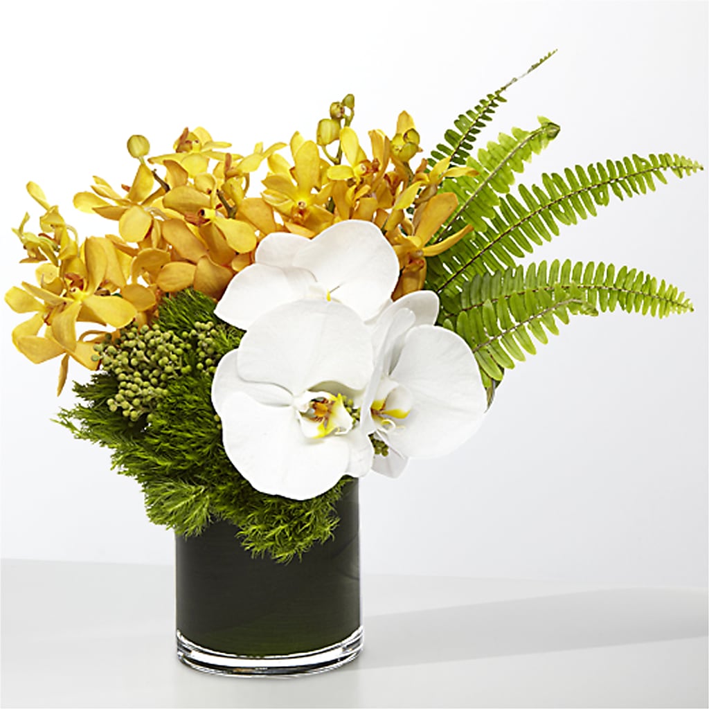 The Tropics –  Palette Flower, Austin TX
