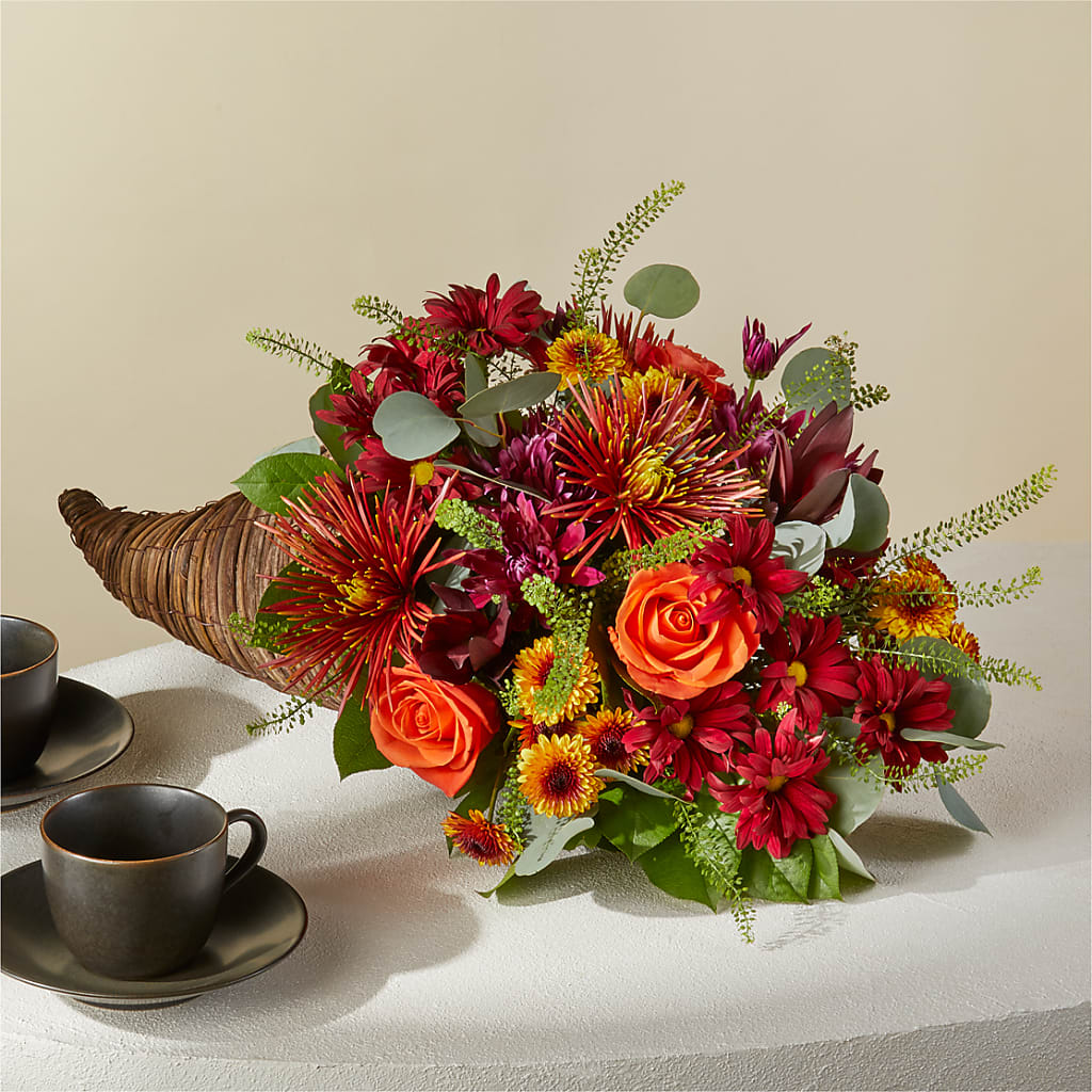 Autumn Herald Cornucopia –  Palette Flower, Austin TX