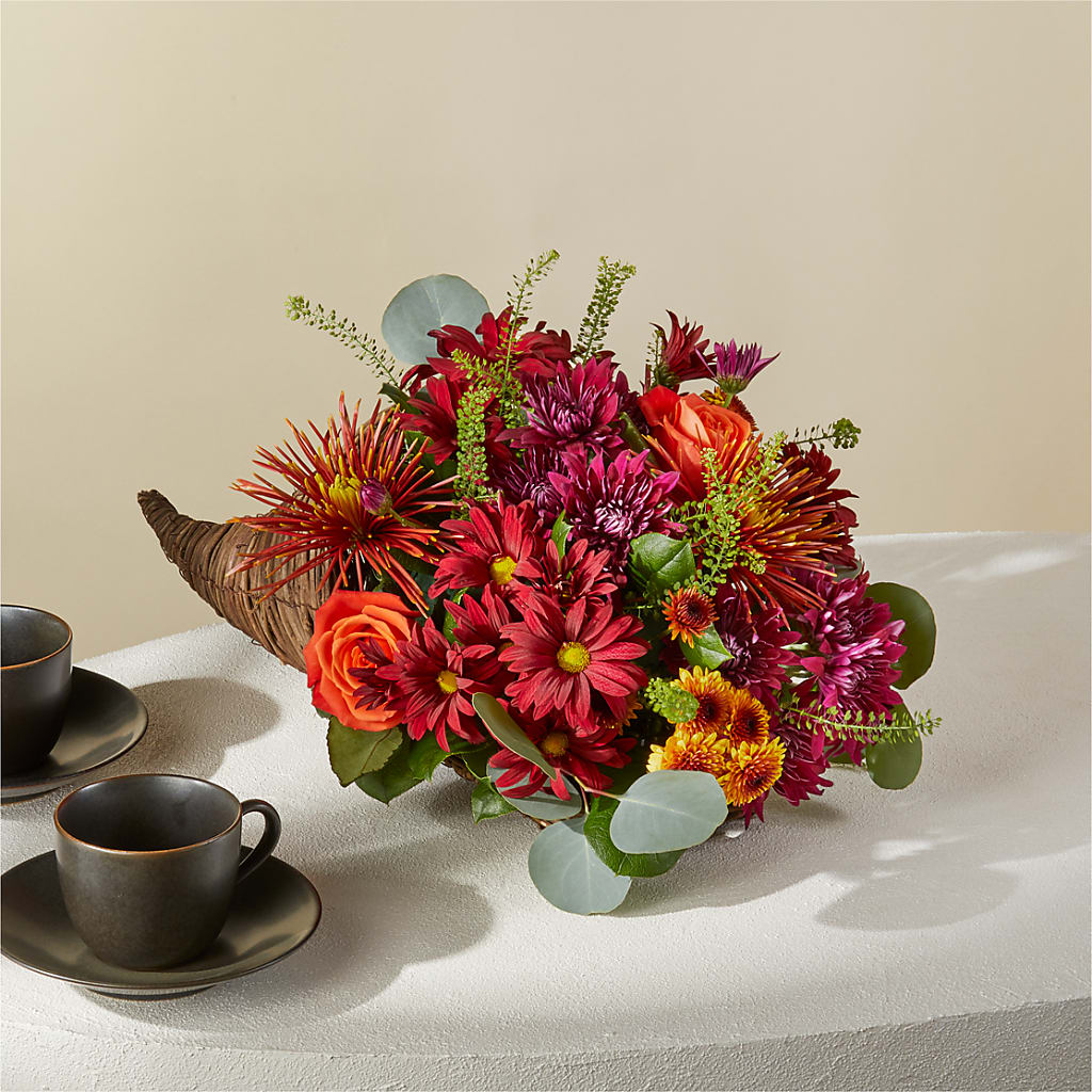 Autumn Herald Cornucopia –  Palette Flower, Austin TX