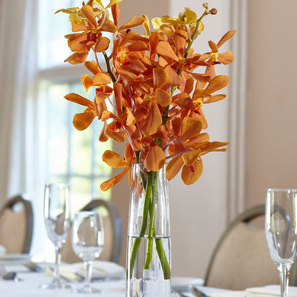 Orange Mokara Bud Vase –  Palette Flower, Austin TX
