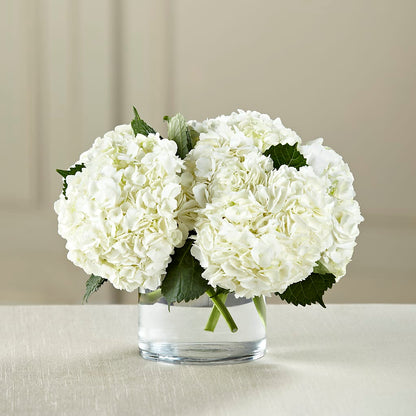 White Hydrangea Bouquet –  Palette Flower, Austin TX